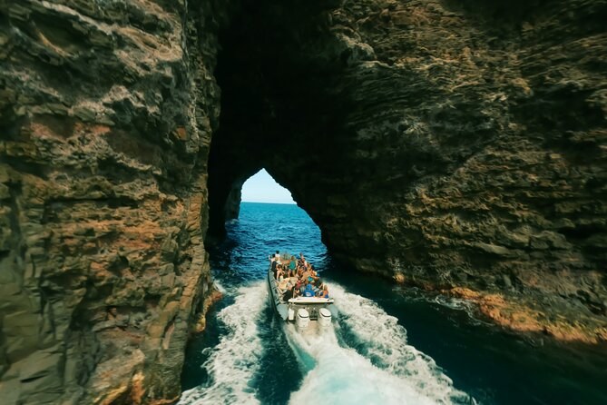 Zodiac Coastal Cruise: New Island's Cliffs and Sea Caves