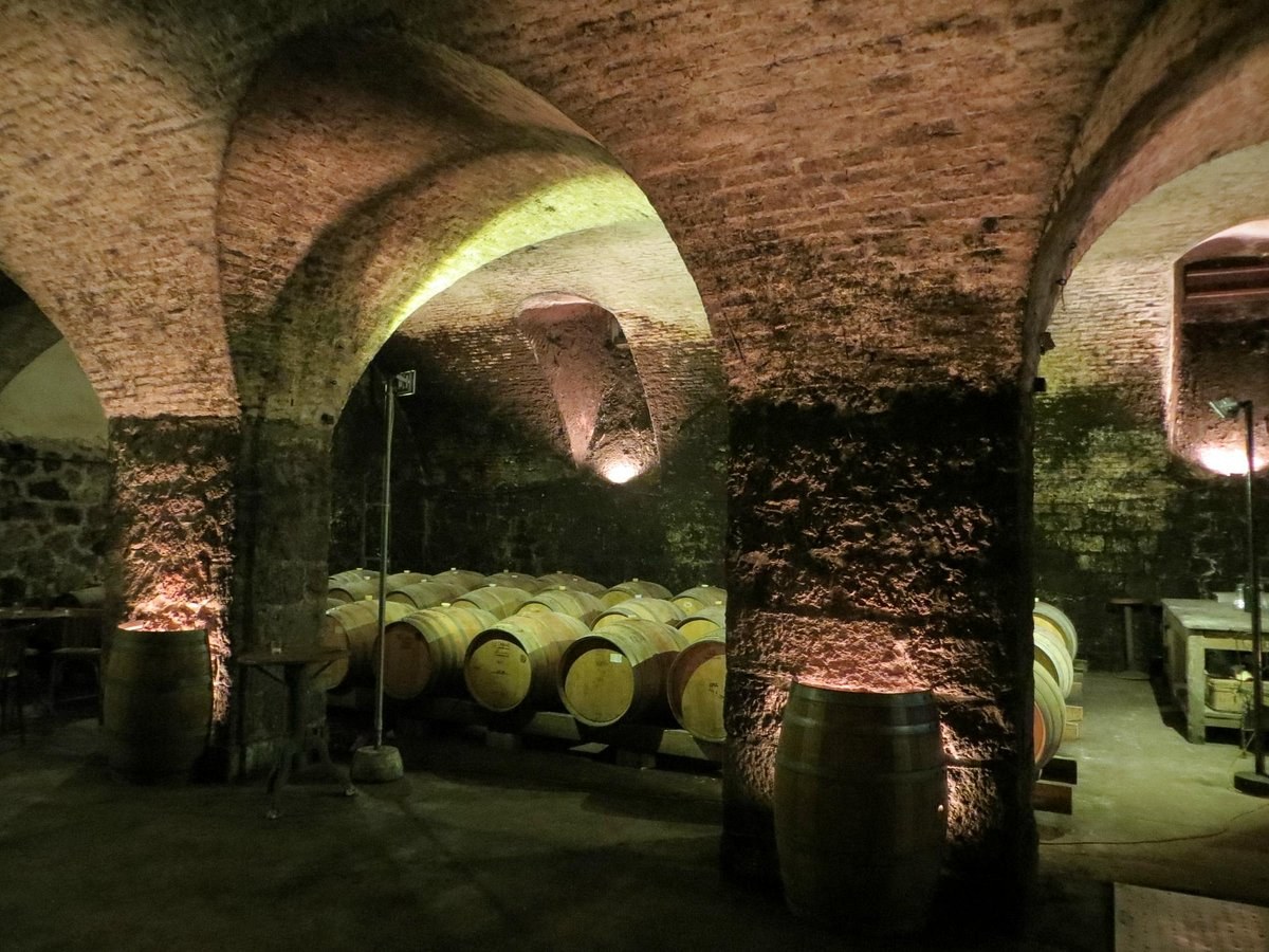 Bodega Juanicó: Private Vineyard Tour, Barrel Room & Tannat Tasting