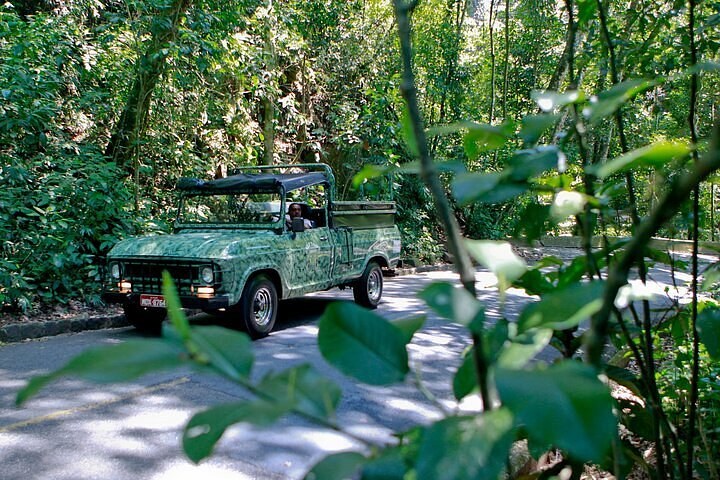 Tijuca Forest Jeep Expedition: Waterfalls & Atlantic Rainforest