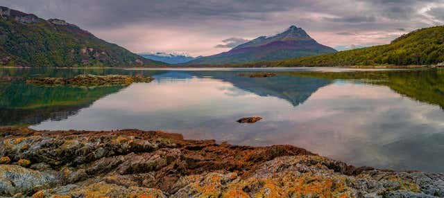 Tierra del Fuego National Park: Private Full-Day with Naturalist