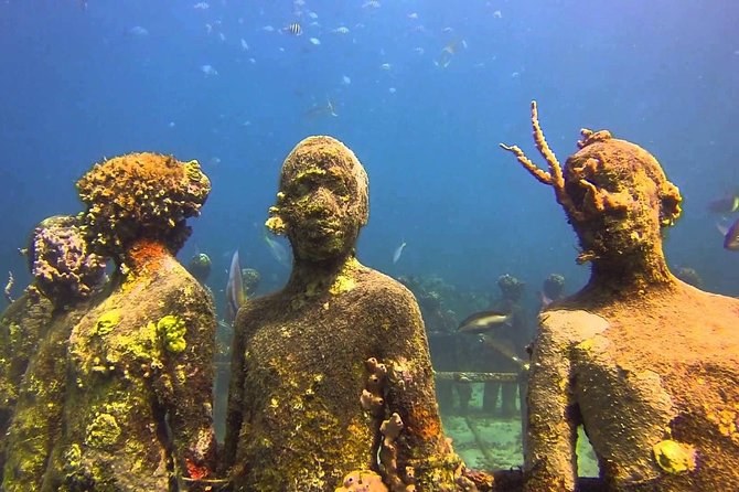 Underwater Sculpture Park: 4-Hour Snorkel Cruise