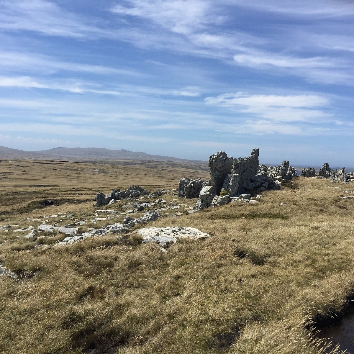 Falklands Battlefield Tour: Mount Longdon & 1982 War Sites