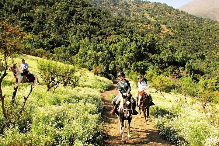 Horseback Ride Through the Coastal Andes: Private Hacienda Experience