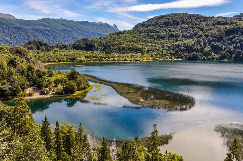 Alerce Andino National Park: Ancient Giants Guided Hike