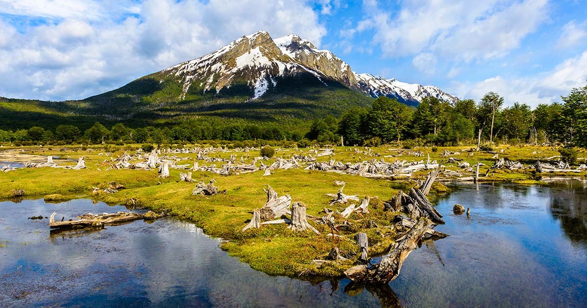Tierra del Fuego National Park: Private Guided Hike & Hidden Lagoons