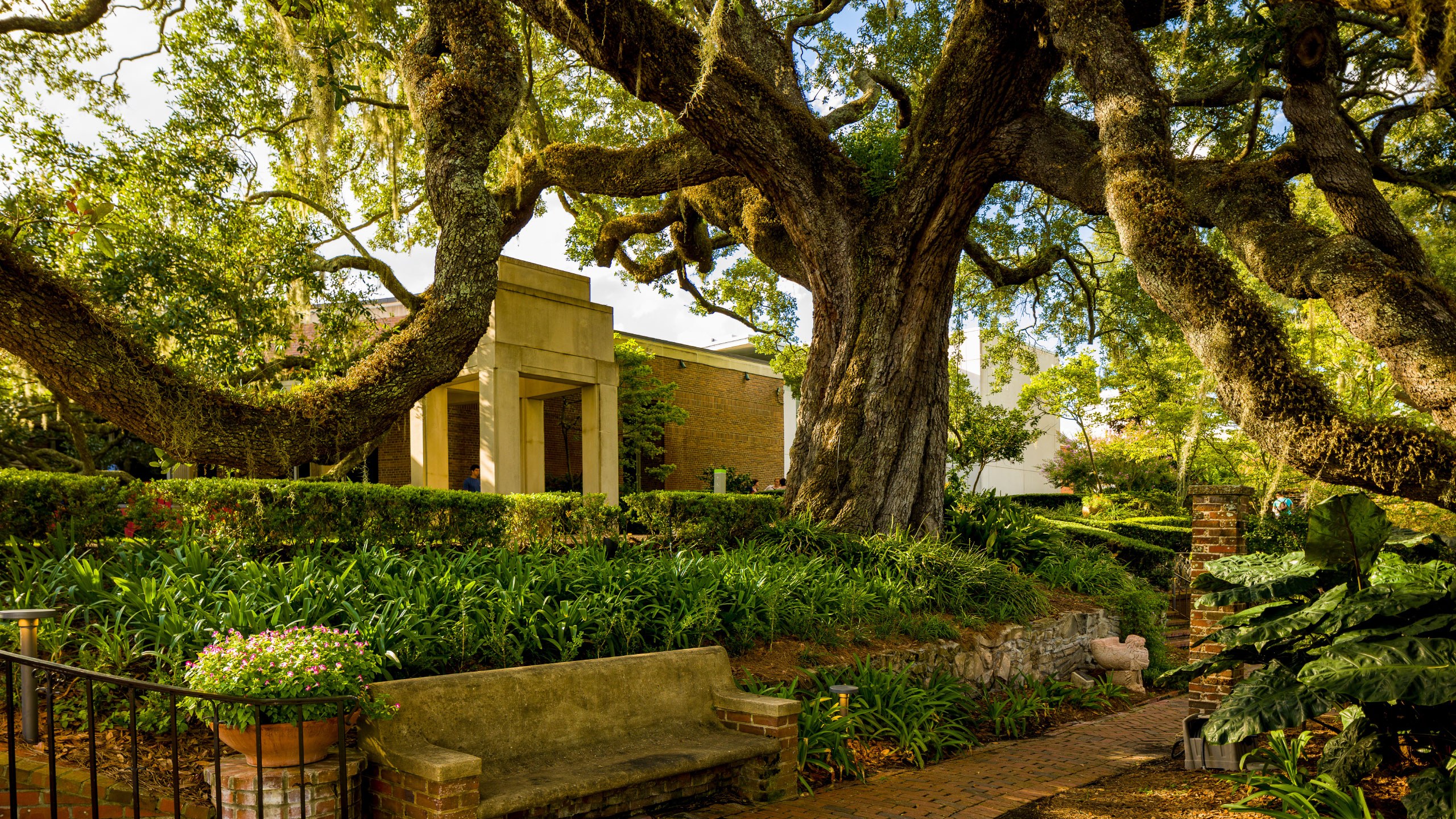 The Cummer Museum of Art & Gardens: Private Curator Tour