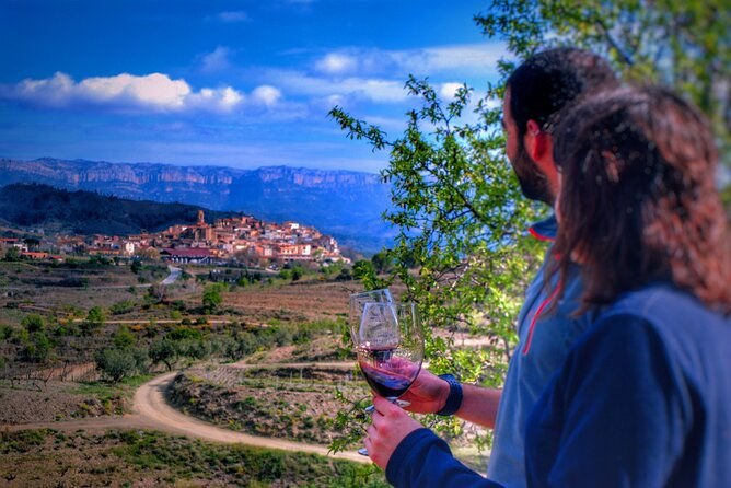 Private Half-Day Tour: Tarragona & Reus Wine & Vermouth