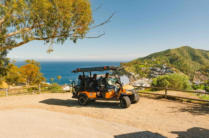 Private Golf Cart Tour of Avalon with Expert Local Guide