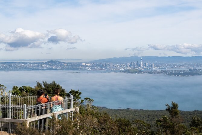 Rangitoto Island Volcanic Summit Hike: Private Guided Experience