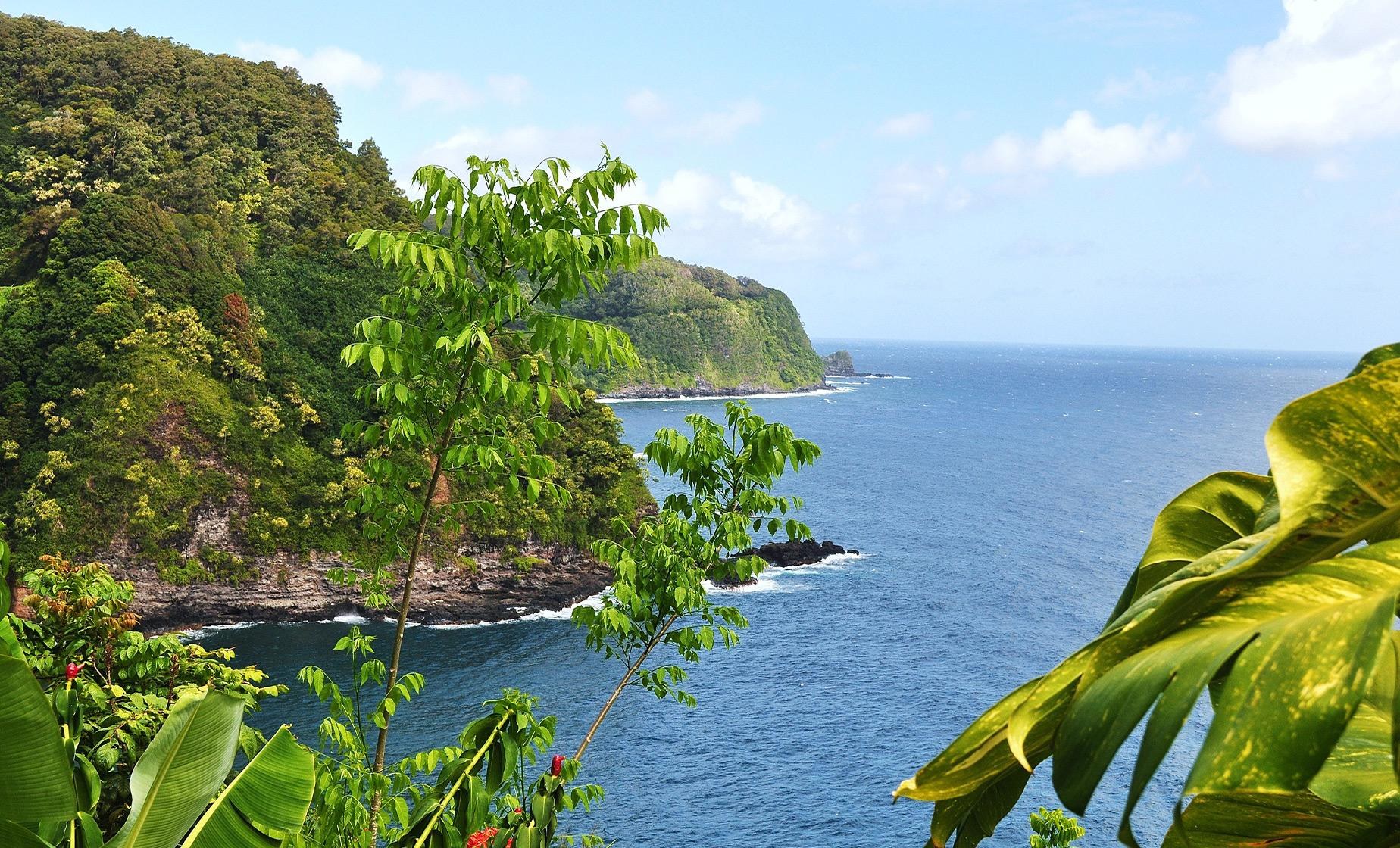 Heavenly Hana Adventure: Private Road-to-Hana Day Tour