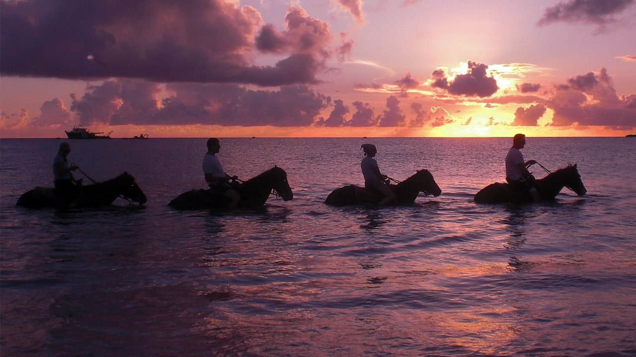 Lucky Stables Champagne Sunset Horseback Ride on the Beach