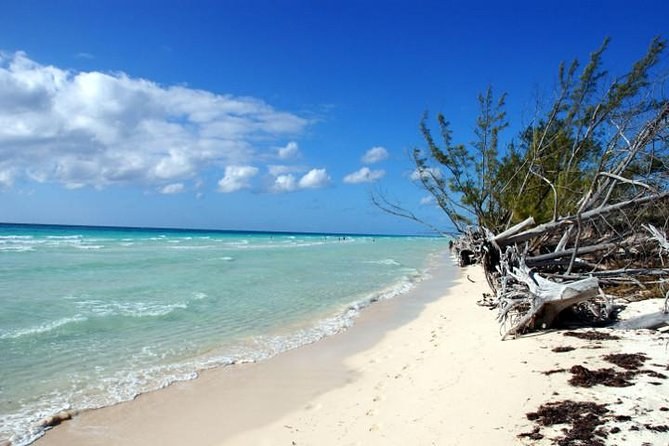 East End Grand Bahama Private Day Tour: Wild Beaches & History