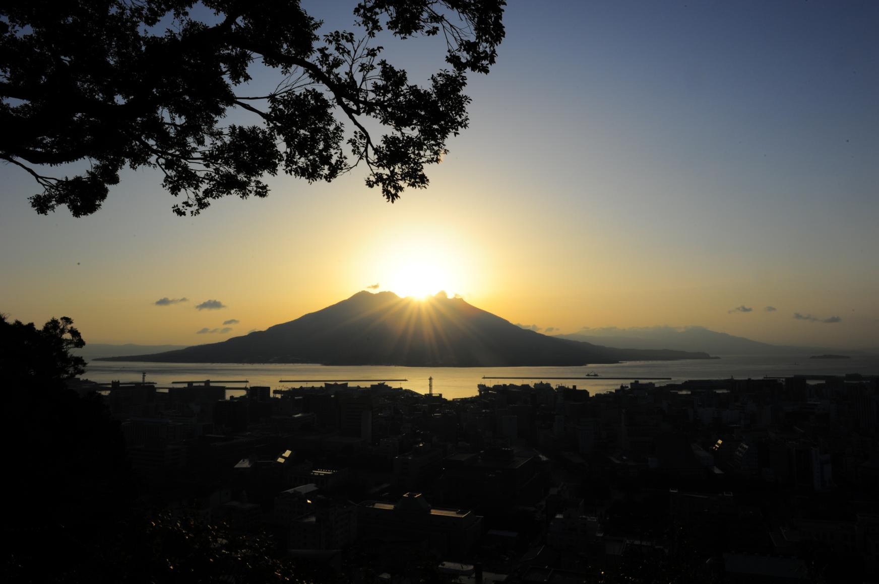 Shiroyama Observatory Sunrise Walk & Satsuma Black Tea Ceremony