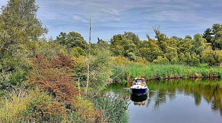 Biesbosch National Park: Private Canoe Expedition