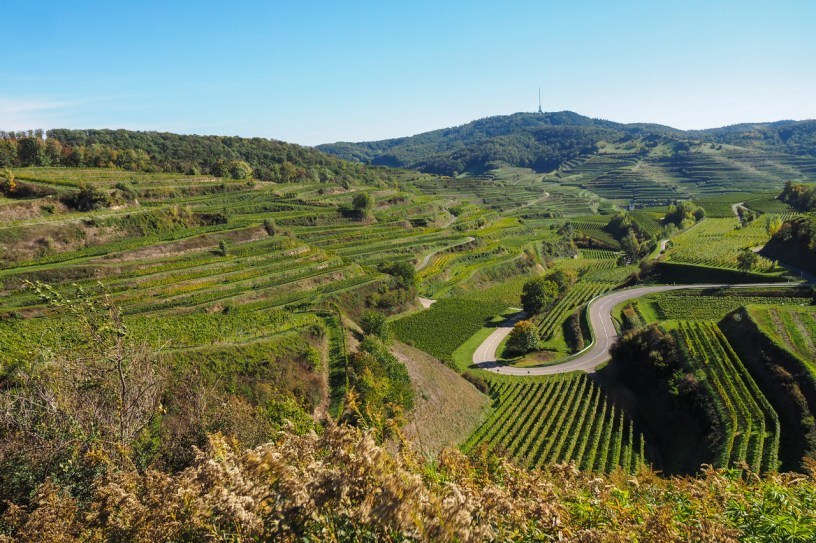 Kaiserstuhl wine — volcanic-vineyard Pinot tasting in 'Germany's Burgundy'