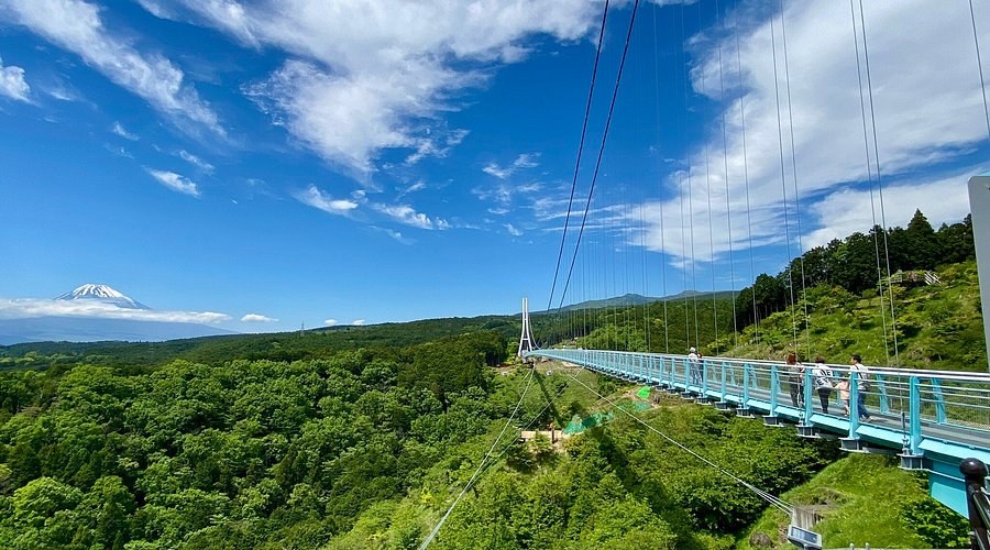 Mishima Skywalk & Shuzenji Onsen: Suspension Bridge & Samurai Spa Town