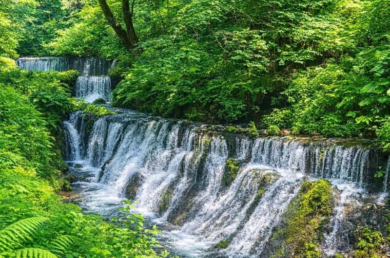 Shiraito Falls & Oshino Hakkai: Fuji's Sacred Snowmelt Springs