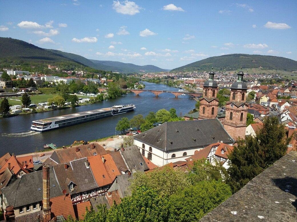Museum Stadt Miltenberg: Private Curator-Led Cultural Deep Dive