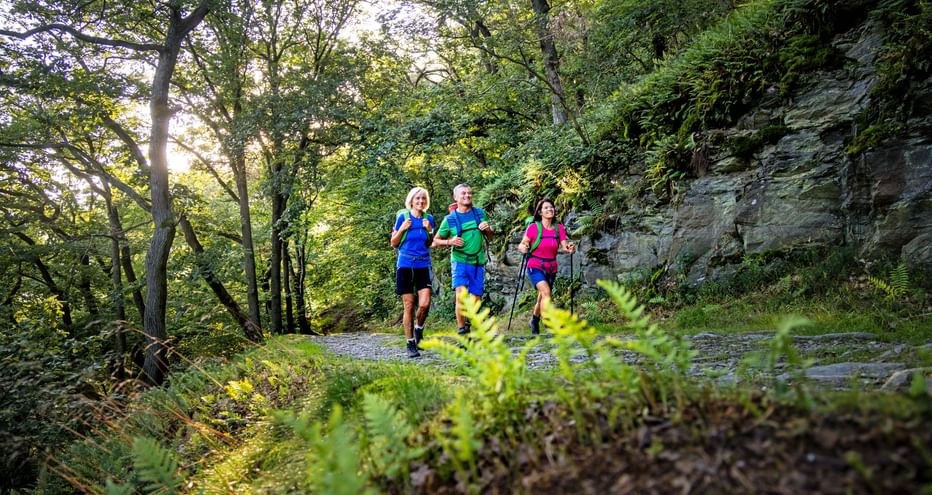 Spessart Forest Guided Hike: Ancient Woodland & Hidden Viewpoints