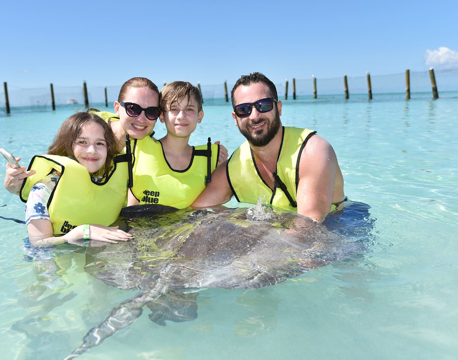 Stingray Beach Encounter: Wade with Southern Stingrays