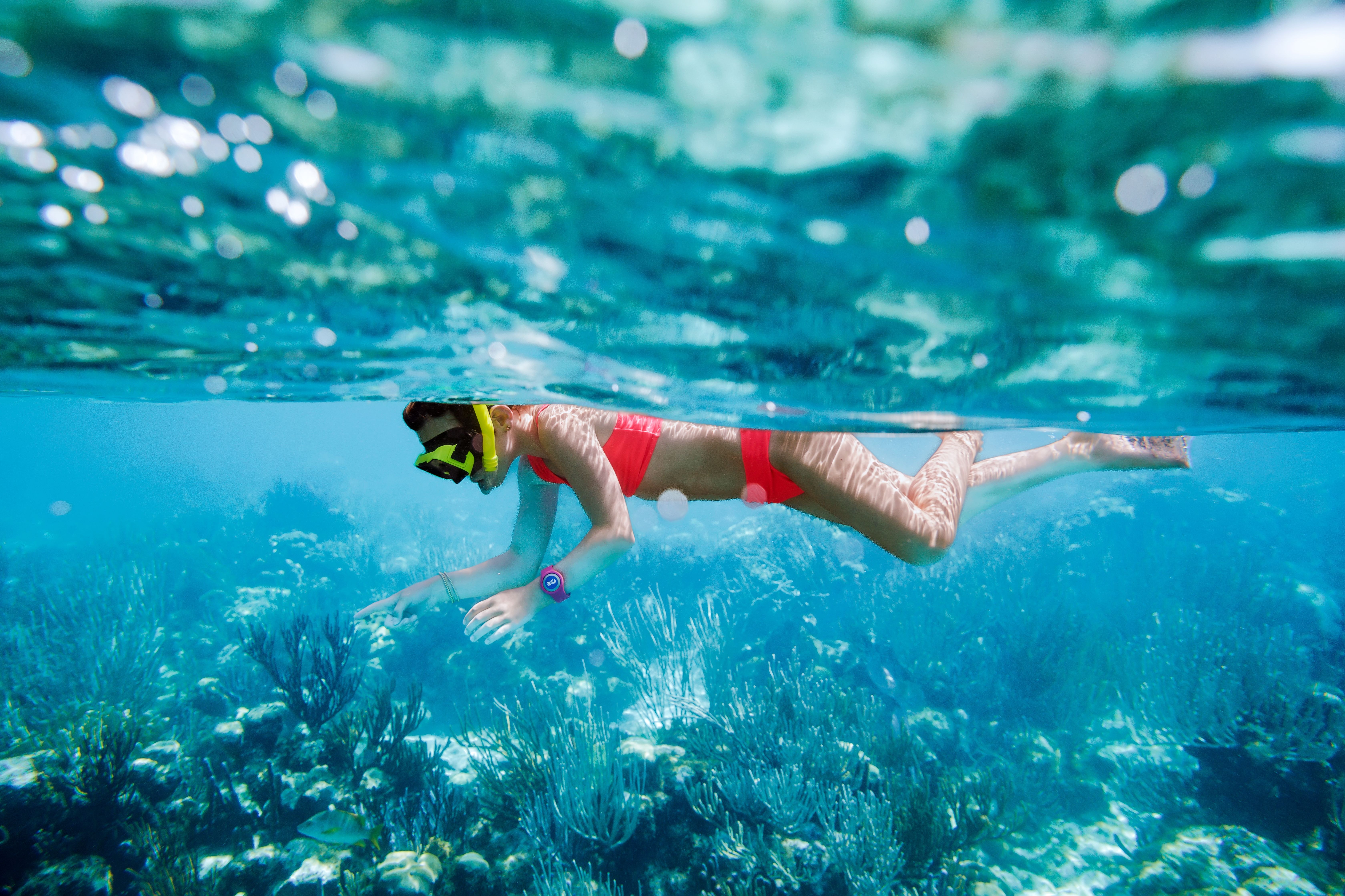 Kayak & Snorkel Lagoon Expedition: Paddle, Dive, Discover