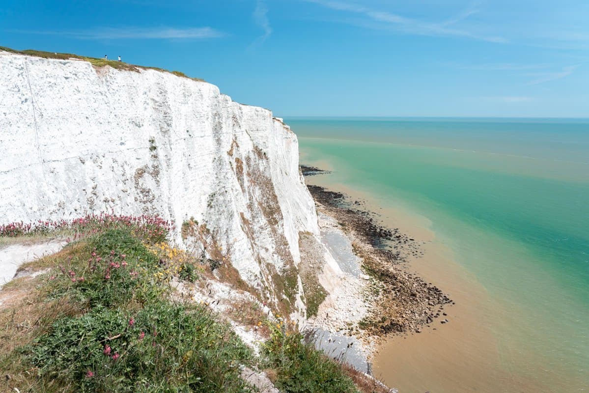 White Cliffs Boat Tour: 40-Minute Chalk Cliffs from the Sea