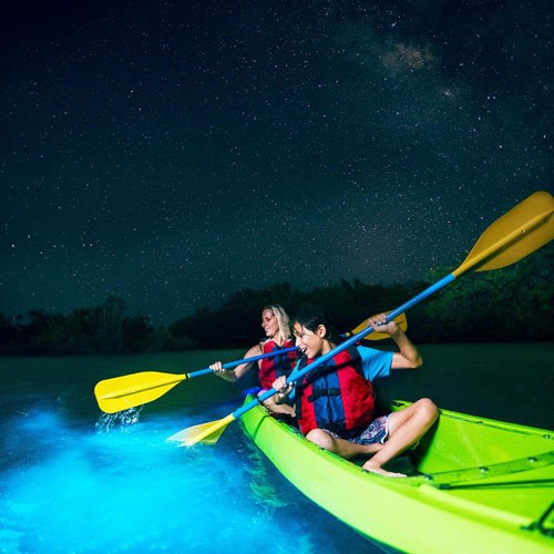 Bioluminescent Bay Kayak: Virgin Islands Night Kayak Tour