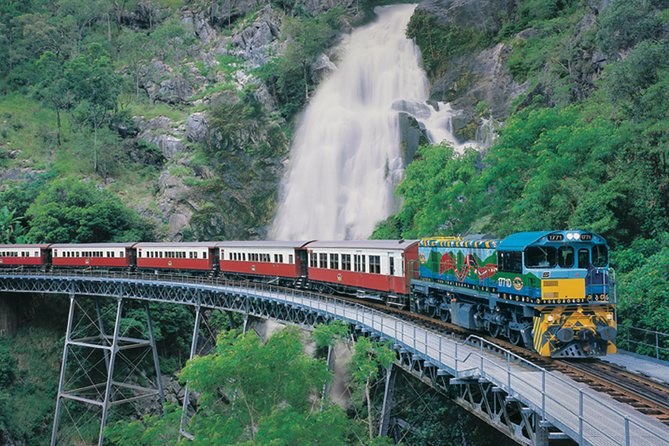 Skyrail Rainforest Cableway + Kuranda Scenic Railway Combo
