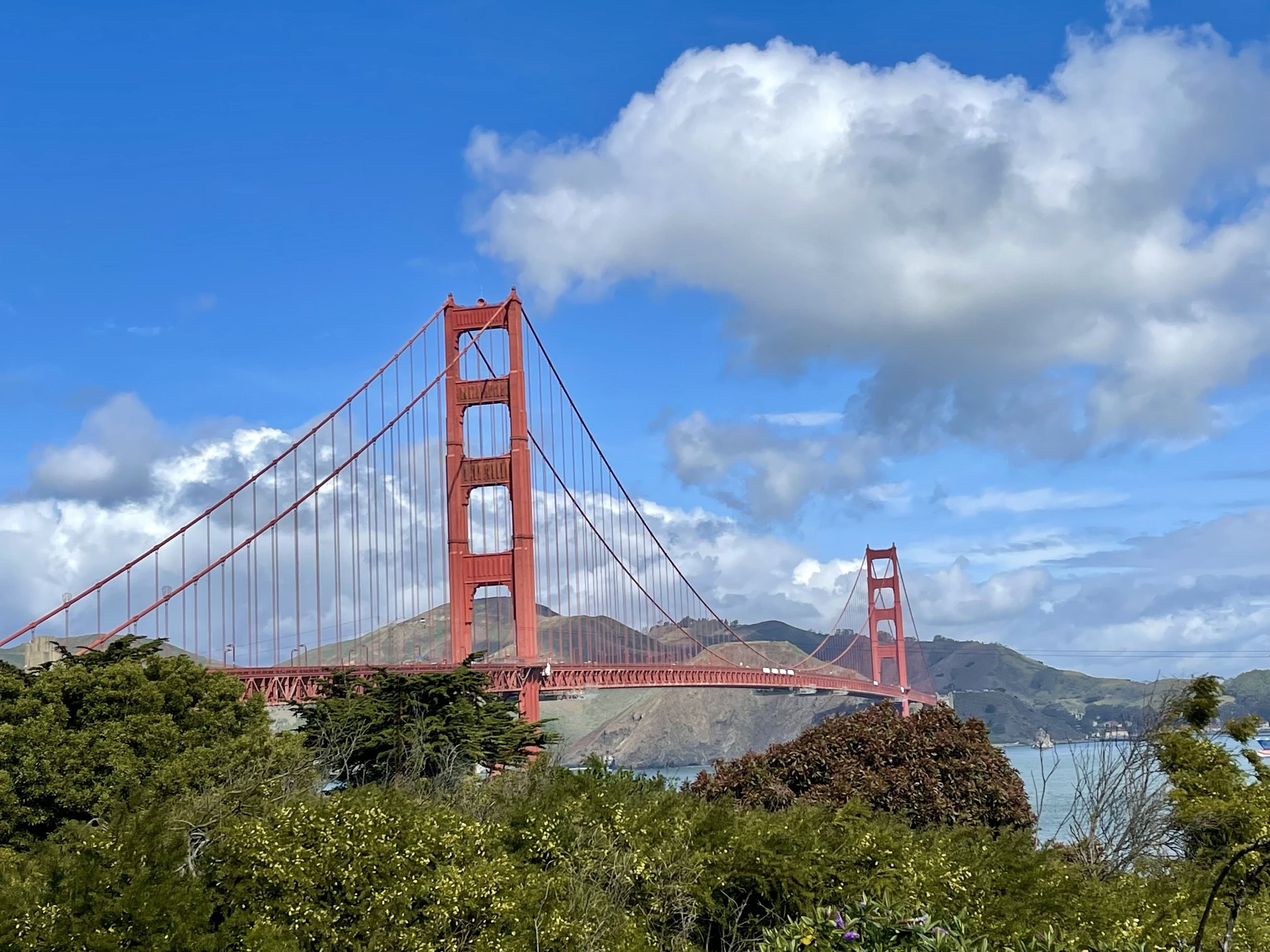 San Francisco Gourmet Food & Neighbourhood Walking Tour