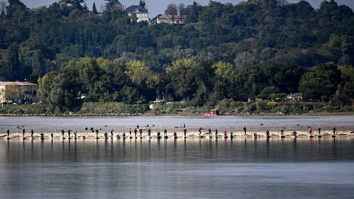 Dordogne Tidal Bore (Mascaret) Cruise: River Wildlife & Riverbank Villages