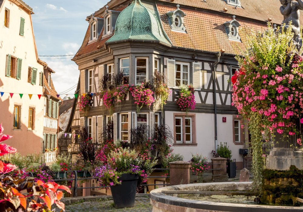 Half-Day Alsace Villages & Wine: Obernai, Mittelbergheim & Barr/Andlau