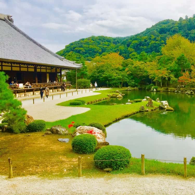 Arashiyama Bamboo Grove & Tenryu-ji Garden: Private Half-Day