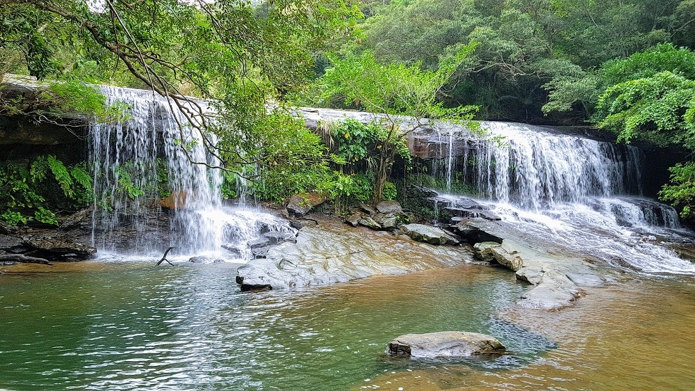 Iriomote Island Mangrove Kayak & Jungle Waterfall Trek