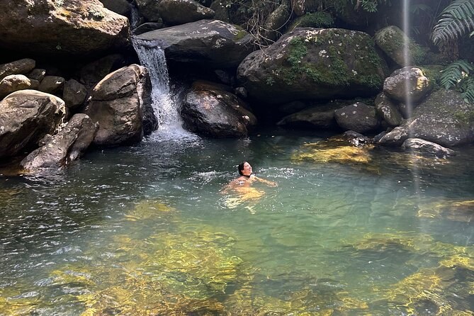 El Yunque Rainforest Hike & Waterfall Swims