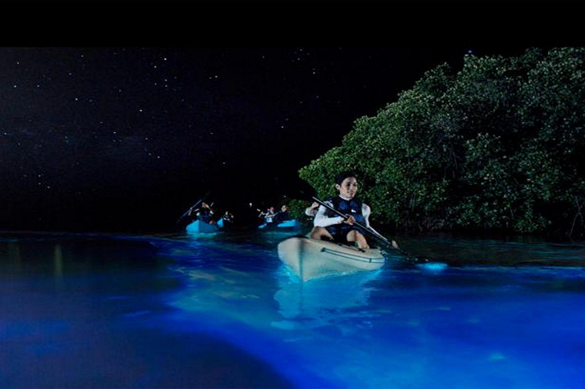 Bioluminescent Bay Night Kayak, Laguna Grande