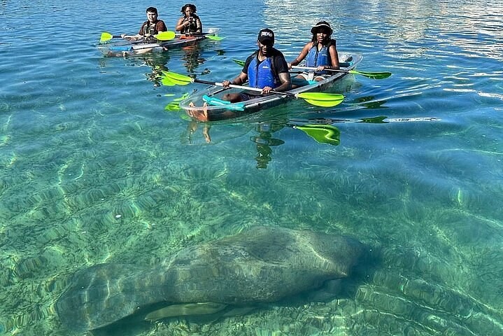 Clear-Bottom Kayak, Condado Lagoon (near-port safety net)