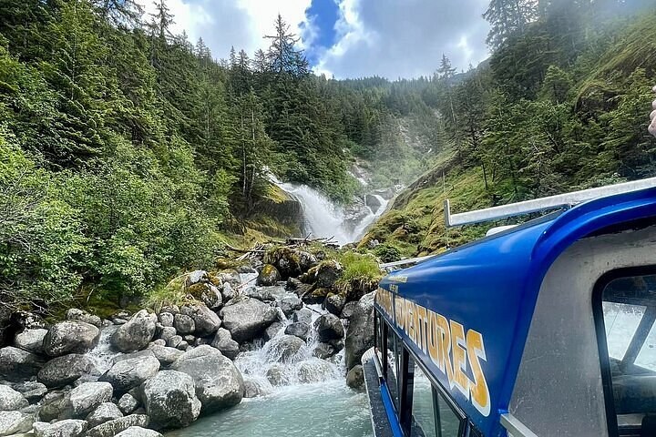 Wrangell Marine Wildlife Sightseeing & Sea Kayaking Cruise