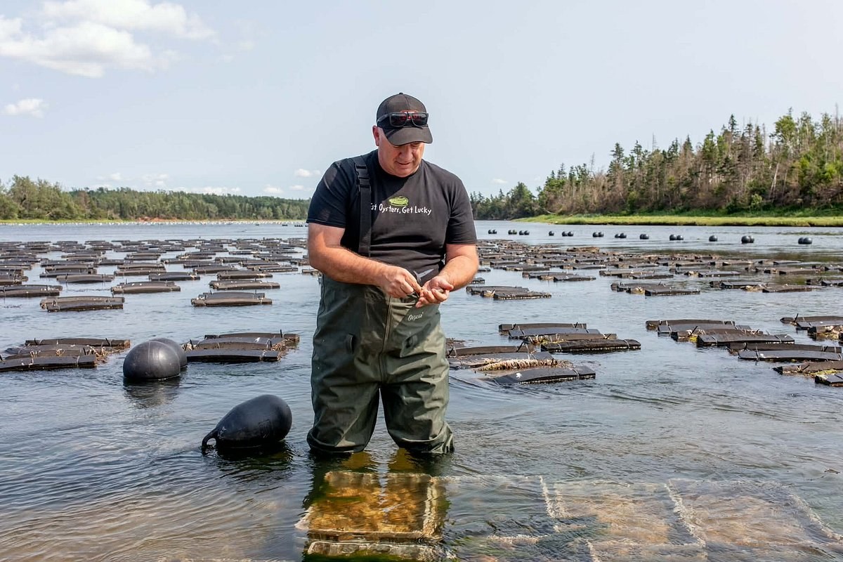 PEI Oyster Farm Tour & Tasting on the Water