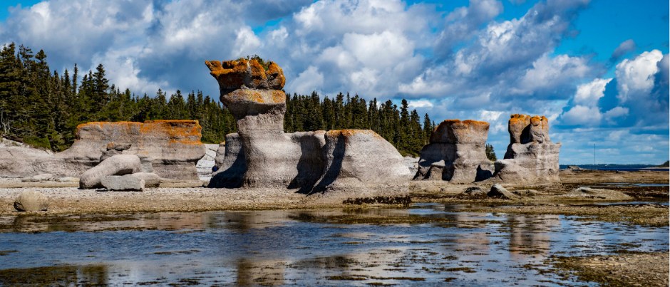 Mingan Archipelago Monoliths: Private Zodiac & Seabird Safari