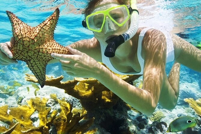 Cumberland Bay Snorkel & Dive: World-Class Endemic Marine Life