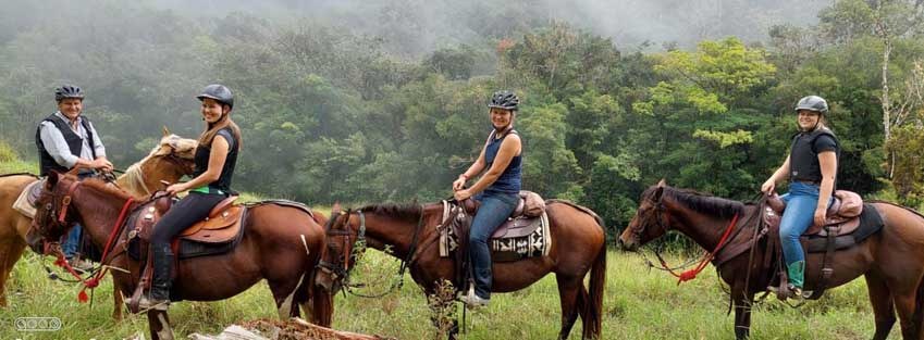 Horseback Ride Through Endemic Cloud Forest