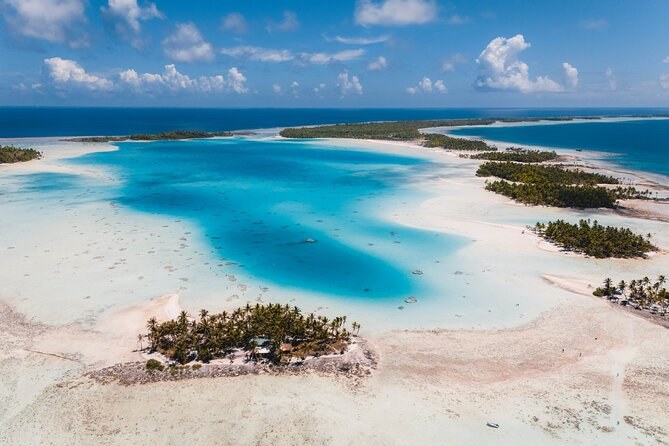 Blue Lagoon Full-Day Eco-Tour: Snorkel, Picnic & Wildlife