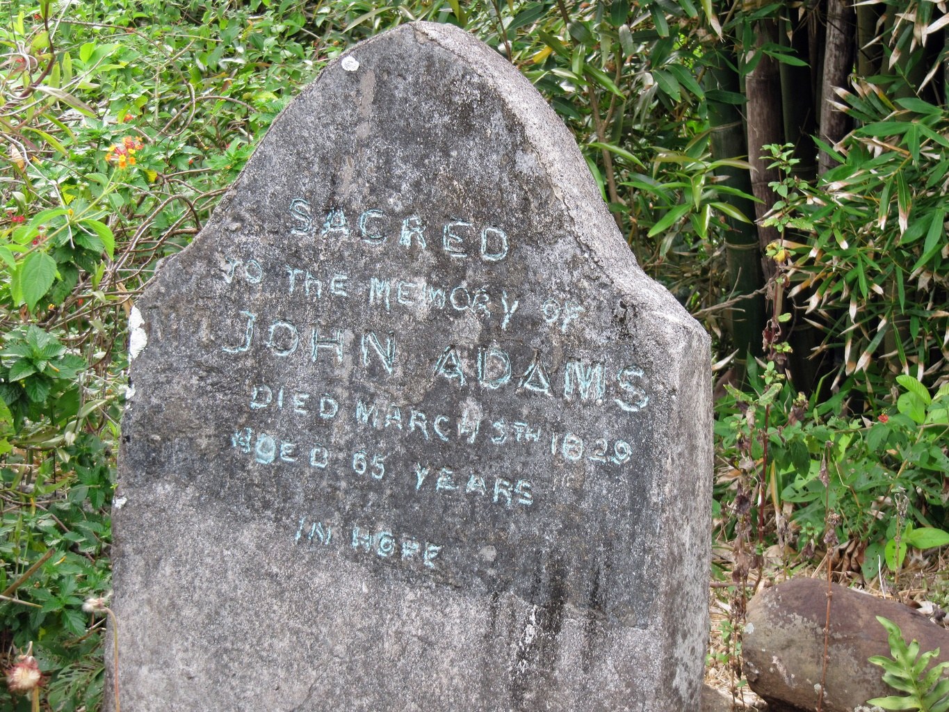 Tomb of John Adams: The Last Mutineer's Resting Place