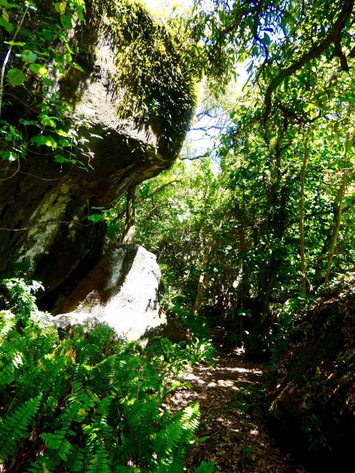 Eco Trail to Christian's Cave & Sailors' Hide