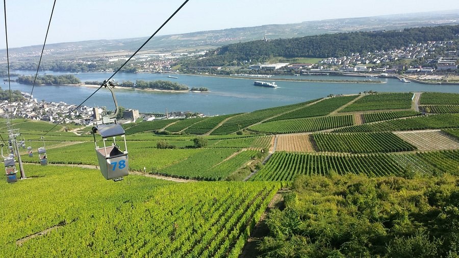 Rudesheim am Rhein cruise excursions
