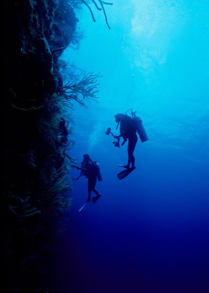 Underwater Photography Dive: Ducie's Outer Wall with Expert Guide