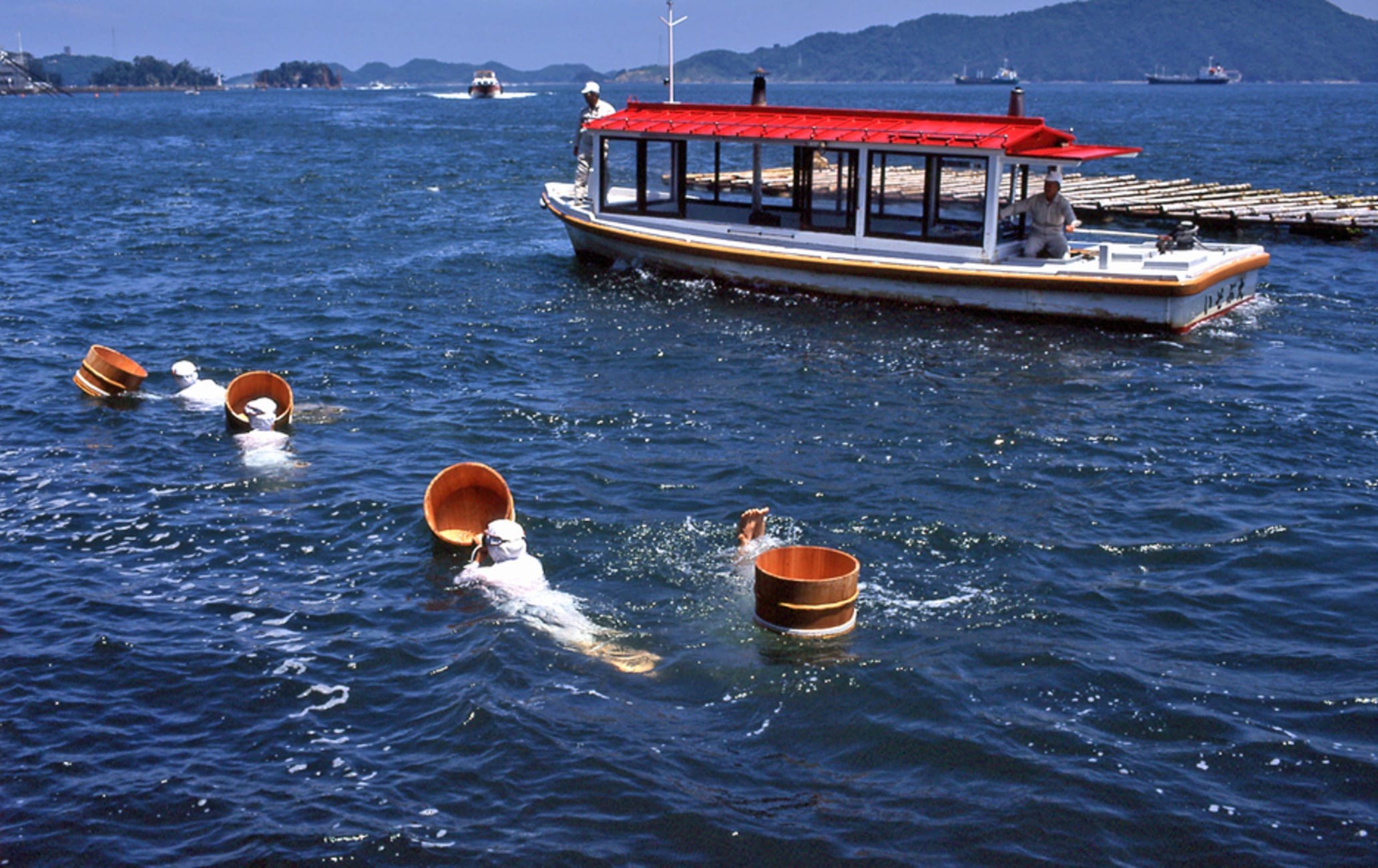 Mikimoto Pearl Island: Exclusive Pearl Cultivation & Ama Dive