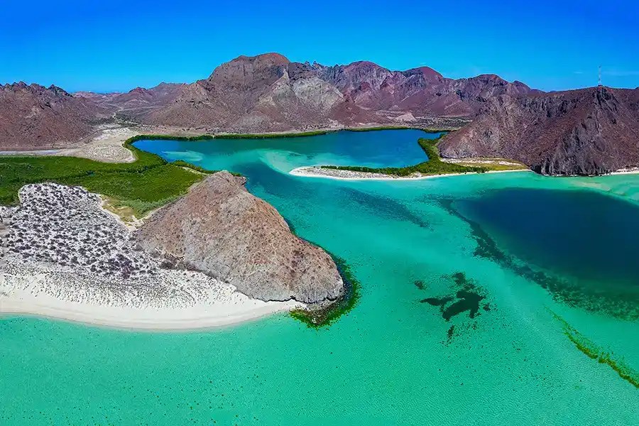 Balandra Beach & Snorkel: The Mushroom Rock in Private Style
