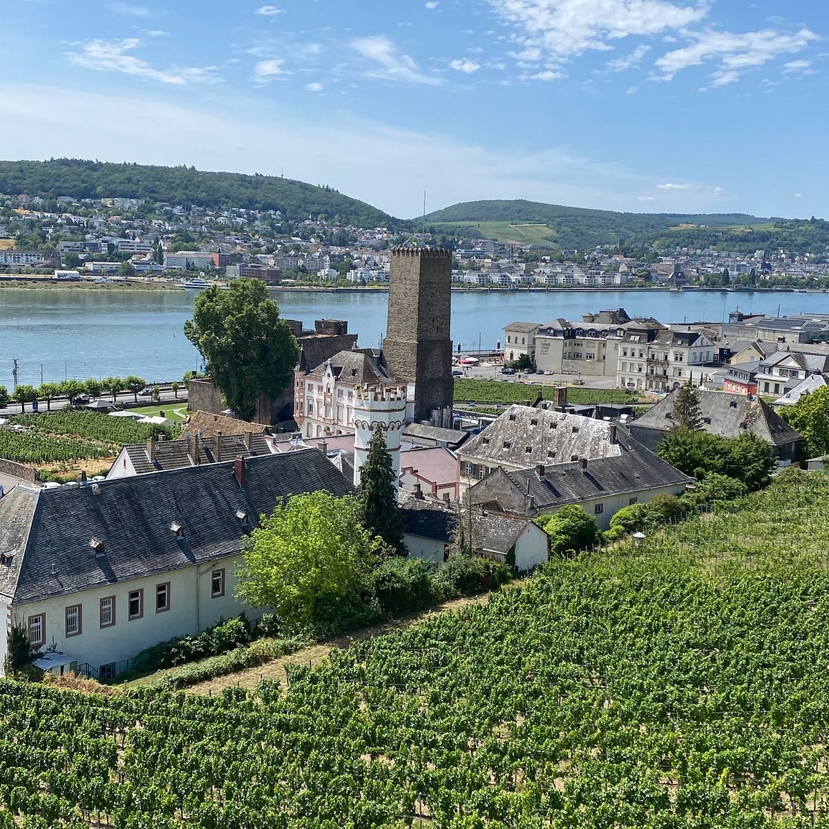Asbach Visitor Center: maker tour and brandy tasting (the source of Rüdesheimer Kaffee)