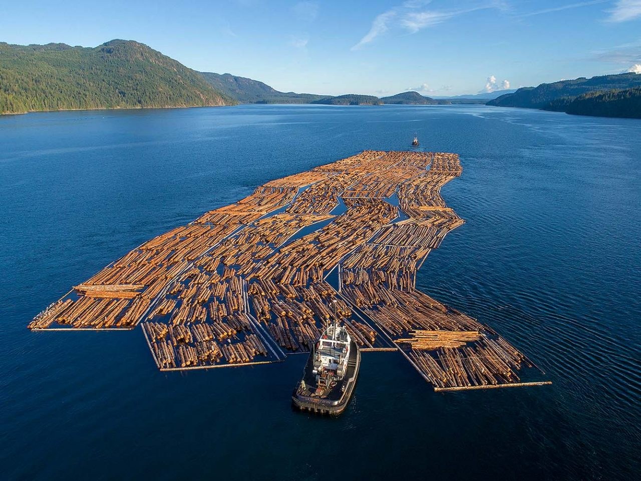 Seymour Narrows Private Zodiac Expedition at Slack Tide